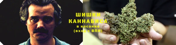 гидропоника Алексин