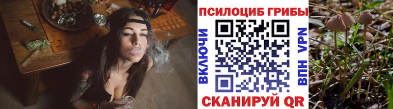 Галлюциногенные грибы прущие грибы  купить наркотик  Арзамас 
